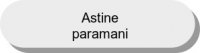 Astine paramani