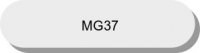 MG 37