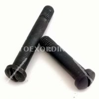 COPPIA VITI SERBATOIO CARICATORE CARCANO 1891