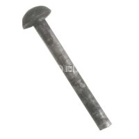 COPPIGLIA BLOCCAGGIO GRUPPO SCATTO CARCANO 1891