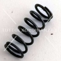 MOLLA ESPULSORE / SCATTO CARCANO 1891/38