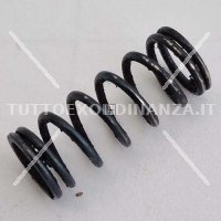 MOLLA SCATTO ED ESPULSORE CARCANO 1891/38 CAL 7,35