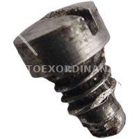 VITE 1 DA IDENTIFICARE BODEO GLISENTI 1889