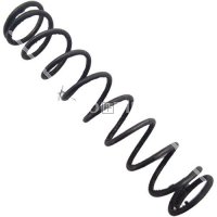 MOLLA ESTRATTORE LEBEL M1892