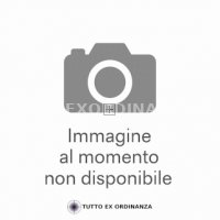 MOLLA PERCUSSORE SCHMIDT RUBIN G89 (ROTTA)